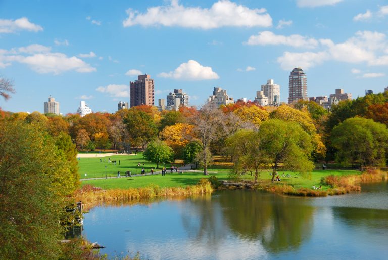 https://nyc-injury-attorneys.com/