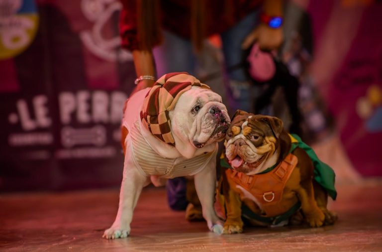 NYC personal injury attorney