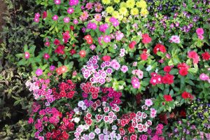 NYC car accident attorneys